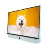 Lightweight 24” FHD Google TV – Portable, Matte Screen, Dolby Audio, HDMI & USB - Blue