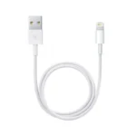 Apple Lightning To USB Cable 0.5M