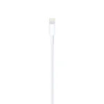 Apple Lightning To USB Cable 0.5M - Image 2