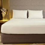 Canon Plain Cotton Bed Sheet