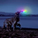 Niteize Flashflight® Dog Discuit™ LED Flying Disc - Disc-O - Image 4